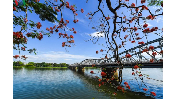 Nếu Du Lịch Huế 1 Ngày Làm Sao Trải Nghiệm Hết Đất Cố Đô?